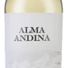 Alma Andina Torrontés 2022 1 Alma Andina Torrontés 2022 -Drinks Sales 2024 0189522b
