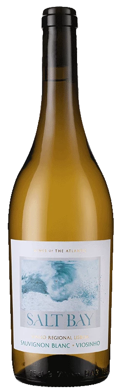 Salt Bay 2022 3 Salt Bay 2022